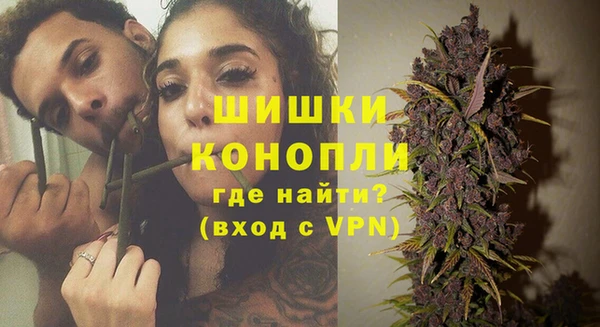 сатива Арсеньев