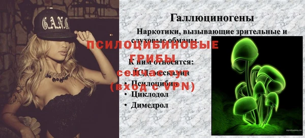 прущая мука Богданович