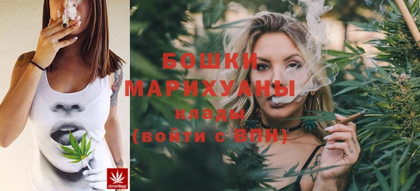 сатива Арсеньев