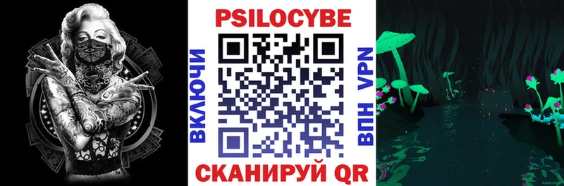 купить наркотики сайты  Красный Кут  Галлюциногенные грибы Psilocybine cubensis 